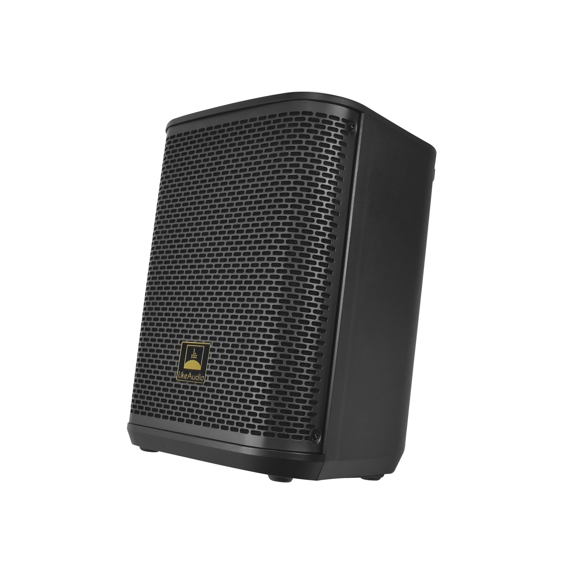Party Speaker